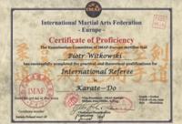 sdzia midzynarodowy IMAF - karate